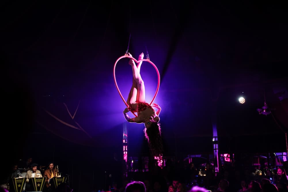 Circus Artistry